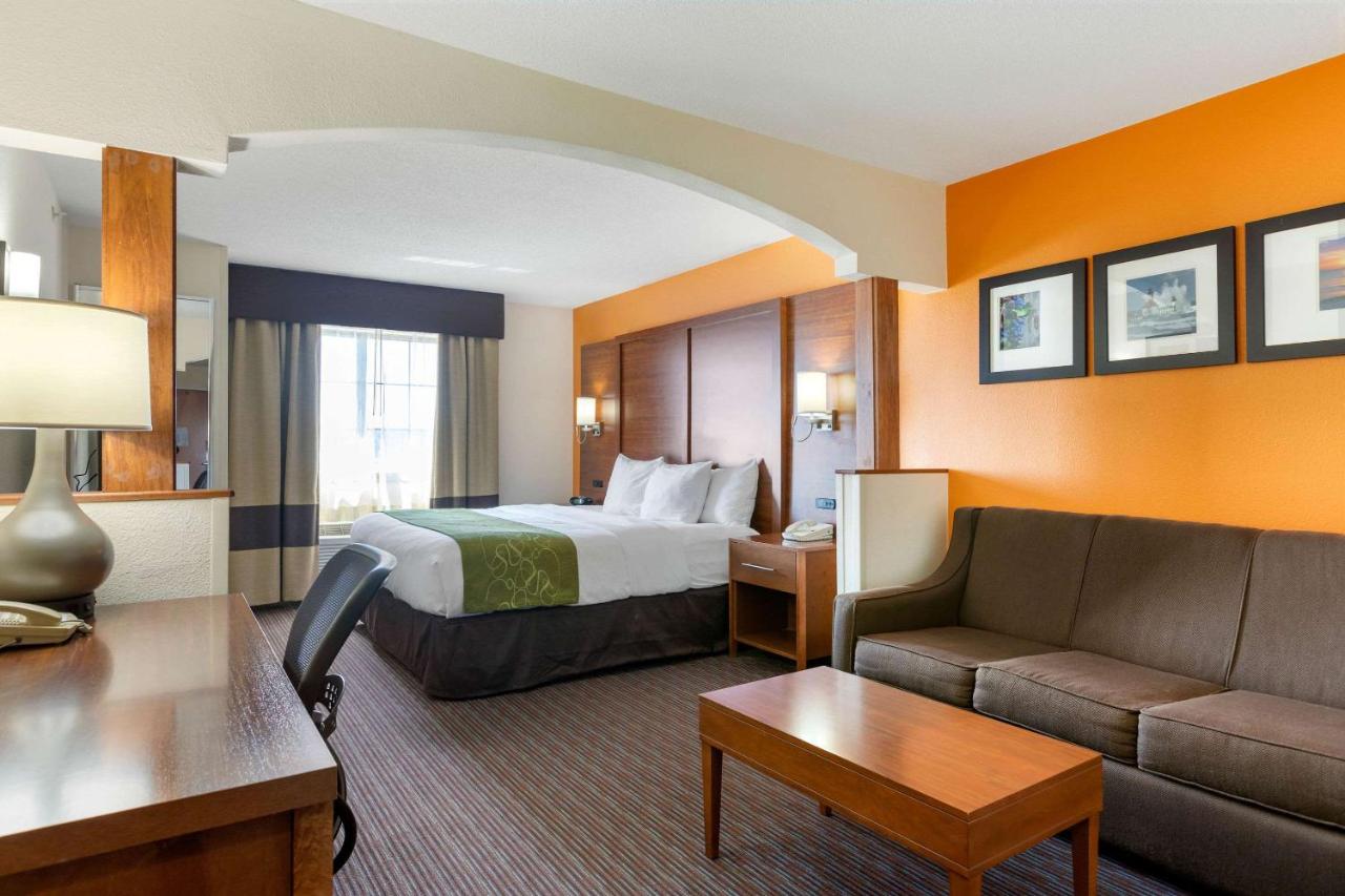King Suite - Non-Smoking at Comfort Suites Stevensville - St. Joseph