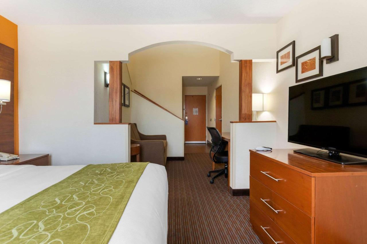 King Suite with Two King Beds - Non-Smoking at Comfort Suites Stevensville - St. Joseph