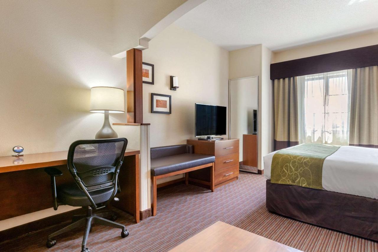 King Suite with Spa Bath - Non-Smoking at Comfort Suites Stevensville - St. Joseph