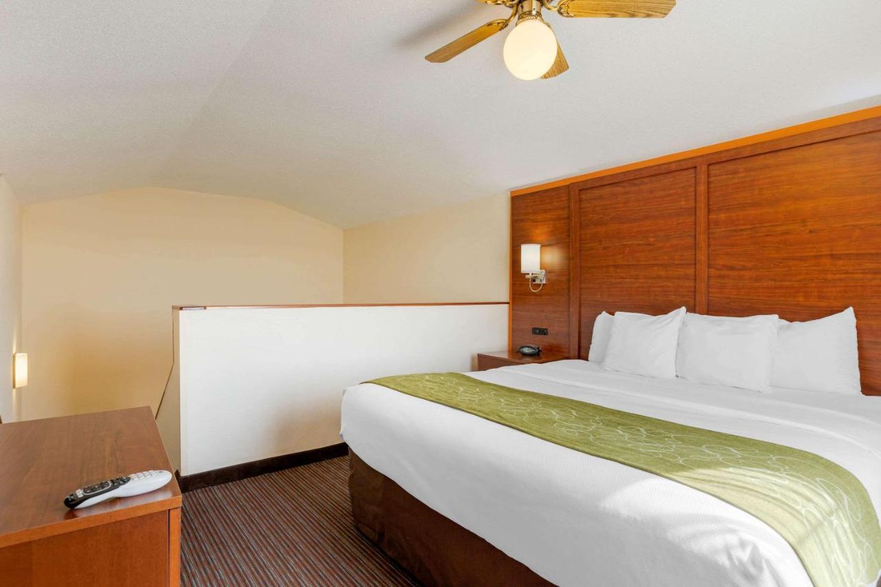King Suite with Two King Beds - Non-Smoking at Comfort Suites Stevensville - St. Joseph
