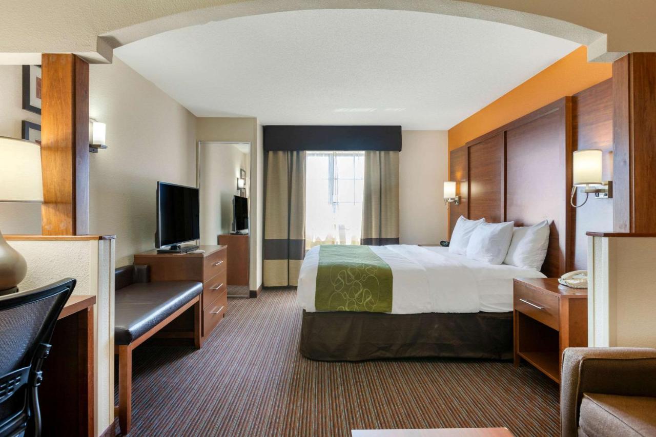 King Suite - Non-Smoking at Comfort Suites Stevensville - St. Joseph