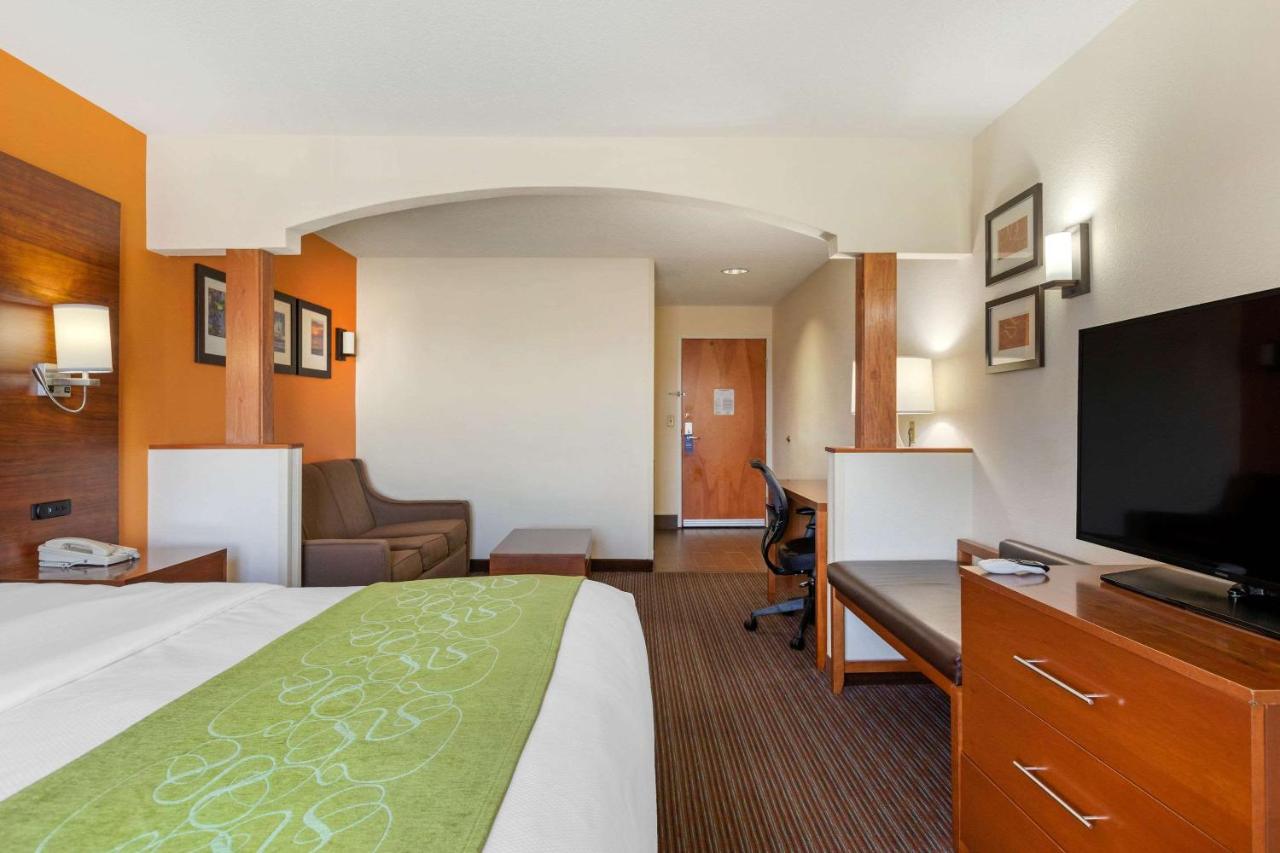 King Suite - Non-Smoking at Comfort Suites Stevensville - St. Joseph