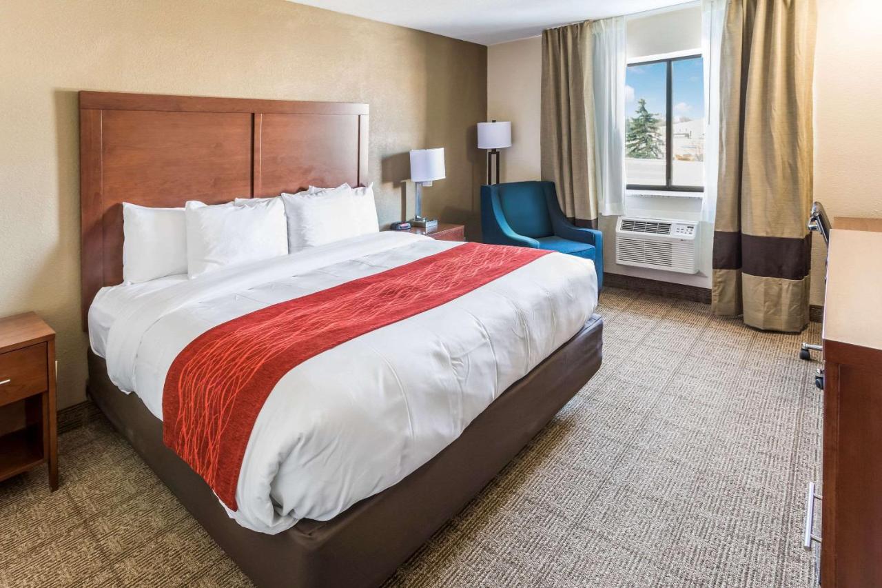 King Room - Non-Smoking at Comfort Inn Waukesha - Milwaukee West