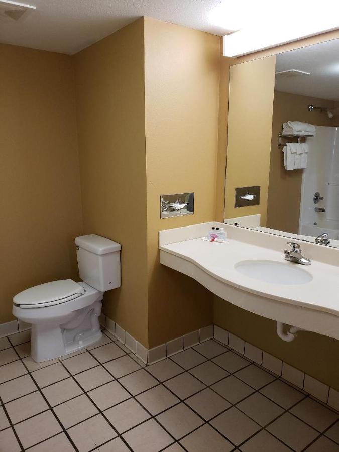King Studio Suite - Non-Smoking at Microtel Inn & Suites by Wyndham Starkville