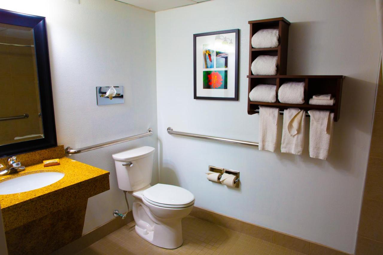 One-Bedroom King Suite - Disability Access/Non-Smoking at Country Inn & Suites by Radisson, Burlington (Elon), NC