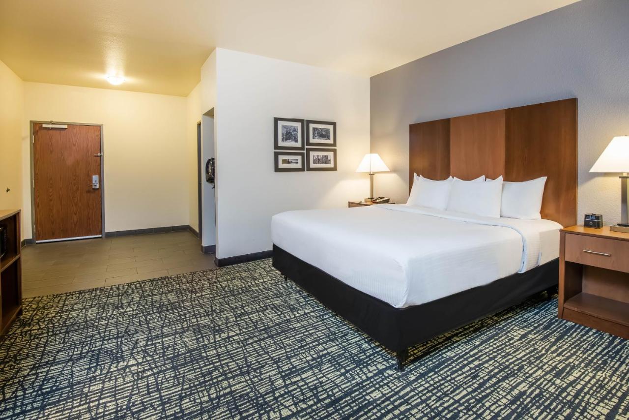 King Room with Roll-In Shower - Mobility Access/Non-Smoking at La Quinta Inn & Suites by Wyndham Morgantown