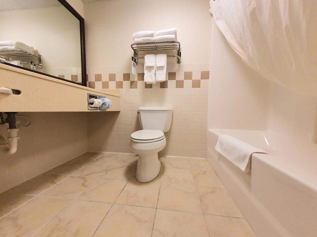 King Studio Suite - Non-Smoking at AmeriVu Inn & Suites - Waconia