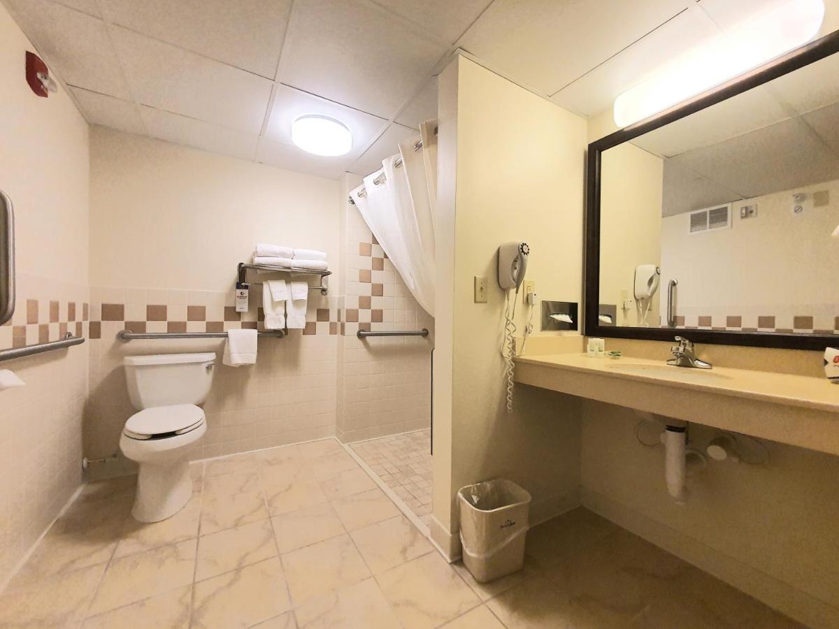 King Room, Disability Access, Non-Smoking at AmeriVu Inn & Suites - Waconia