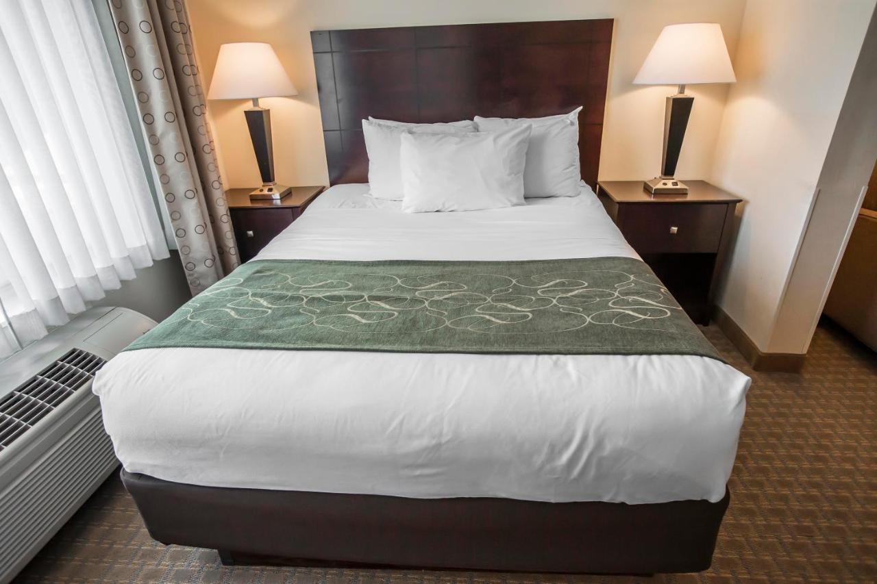 Queen Suite - Non-Smoking at Comfort Suites University Area Notre Dame - South Bend