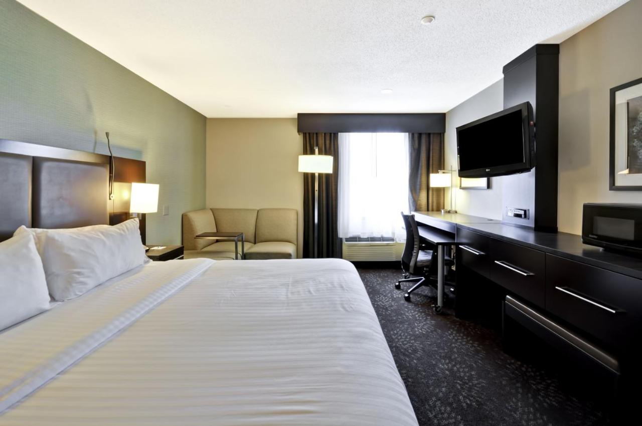 King Suite with Sofa Bed - Non-Smoking at Holiday Inn Express Romulus / Detroit Airport by IHG