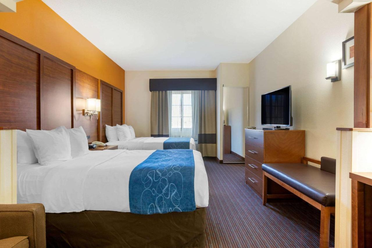 Suite with Two Queen Beds - Accessible/Non-Smoking at Comfort Suites Stevensville - St. Joseph