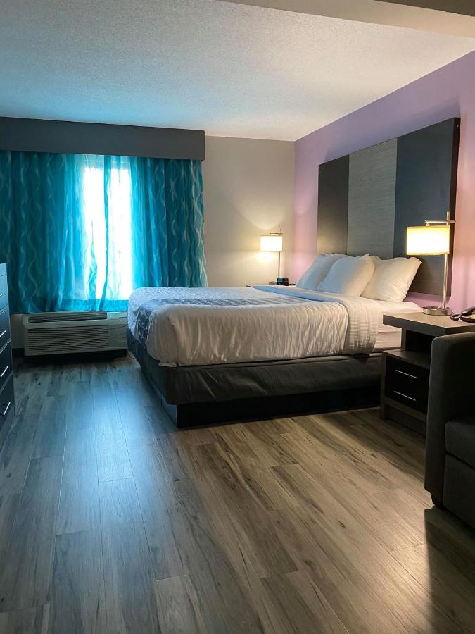 Standard Room King Bed at La Quinta Inn & Suites by Wyndham Clarksville