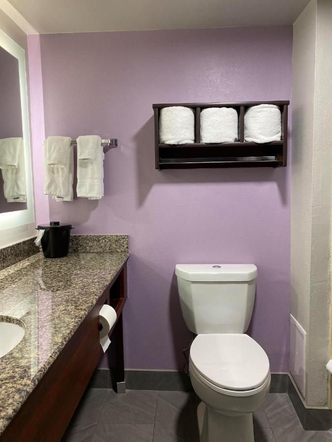 Deluxe King Room - Non-Smoking at La Quinta Inn & Suites by Wyndham Clarksville