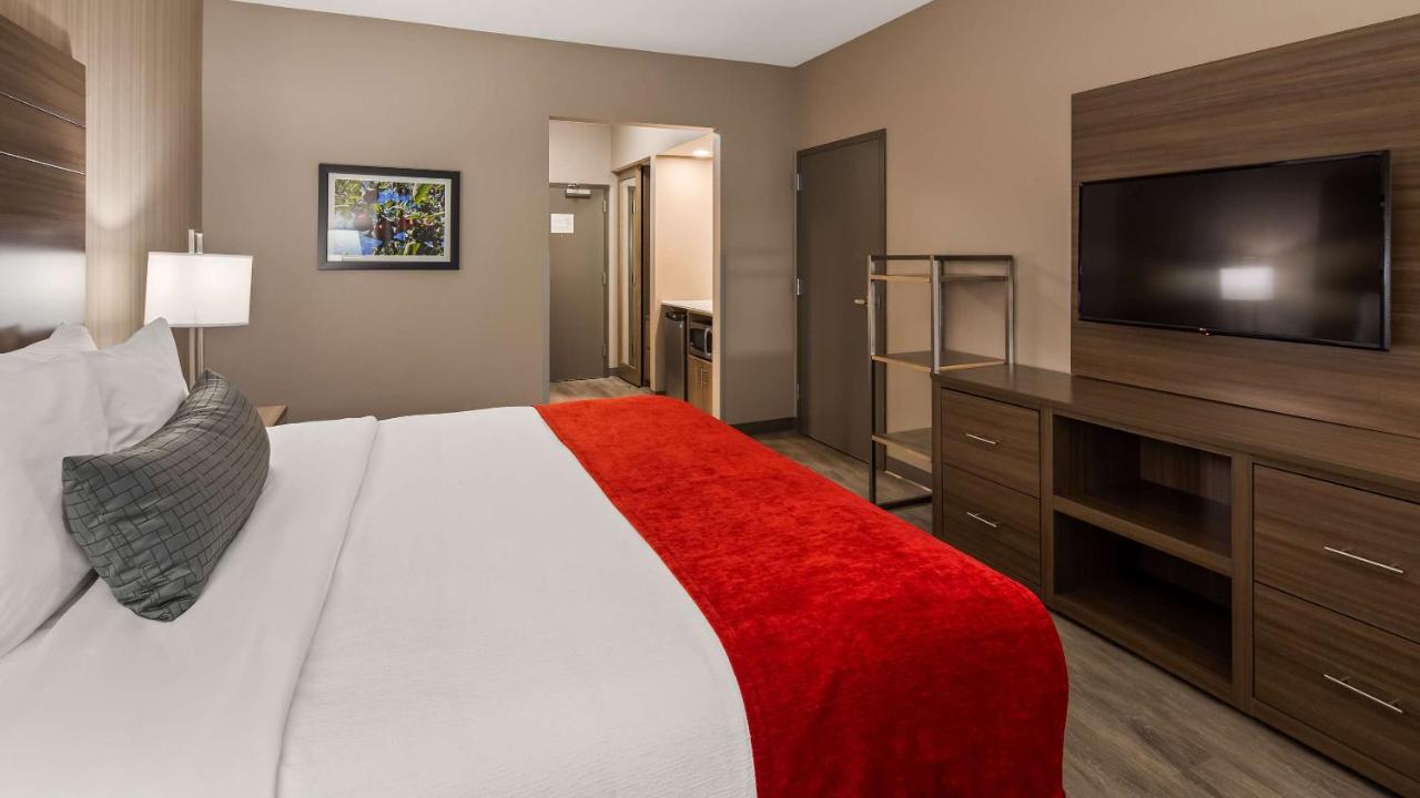 King Room with Walk-In Shower at Best Western Plus LaCrescent / LaCrosse