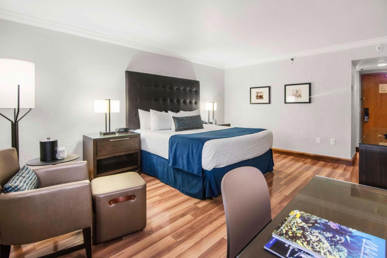 Deluxe King Room at Miami Lakes Hotel