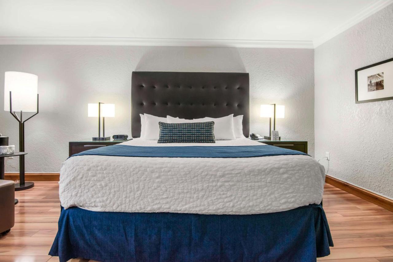 Deluxe King Room at Miami Lakes Hotel