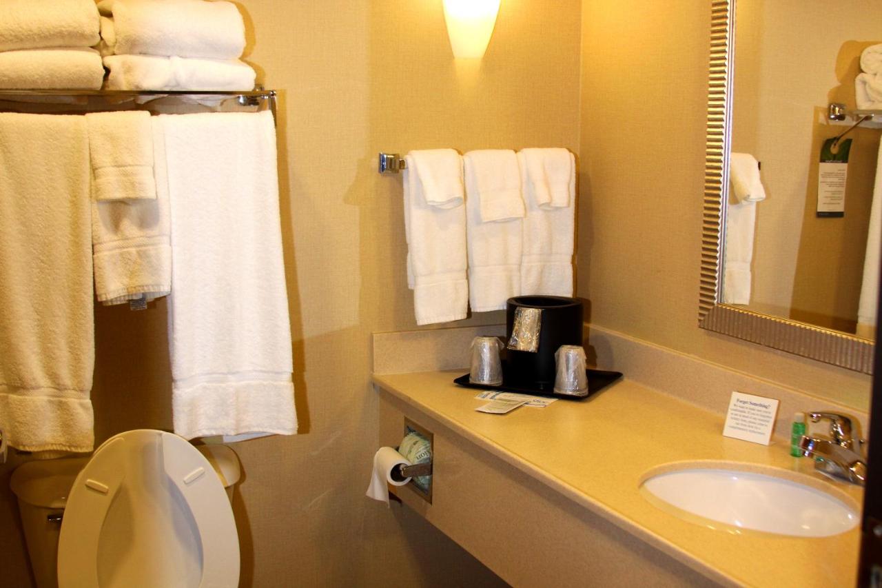 King Suite - Disability Access/Non-Smoking at Comfort Suites Conway