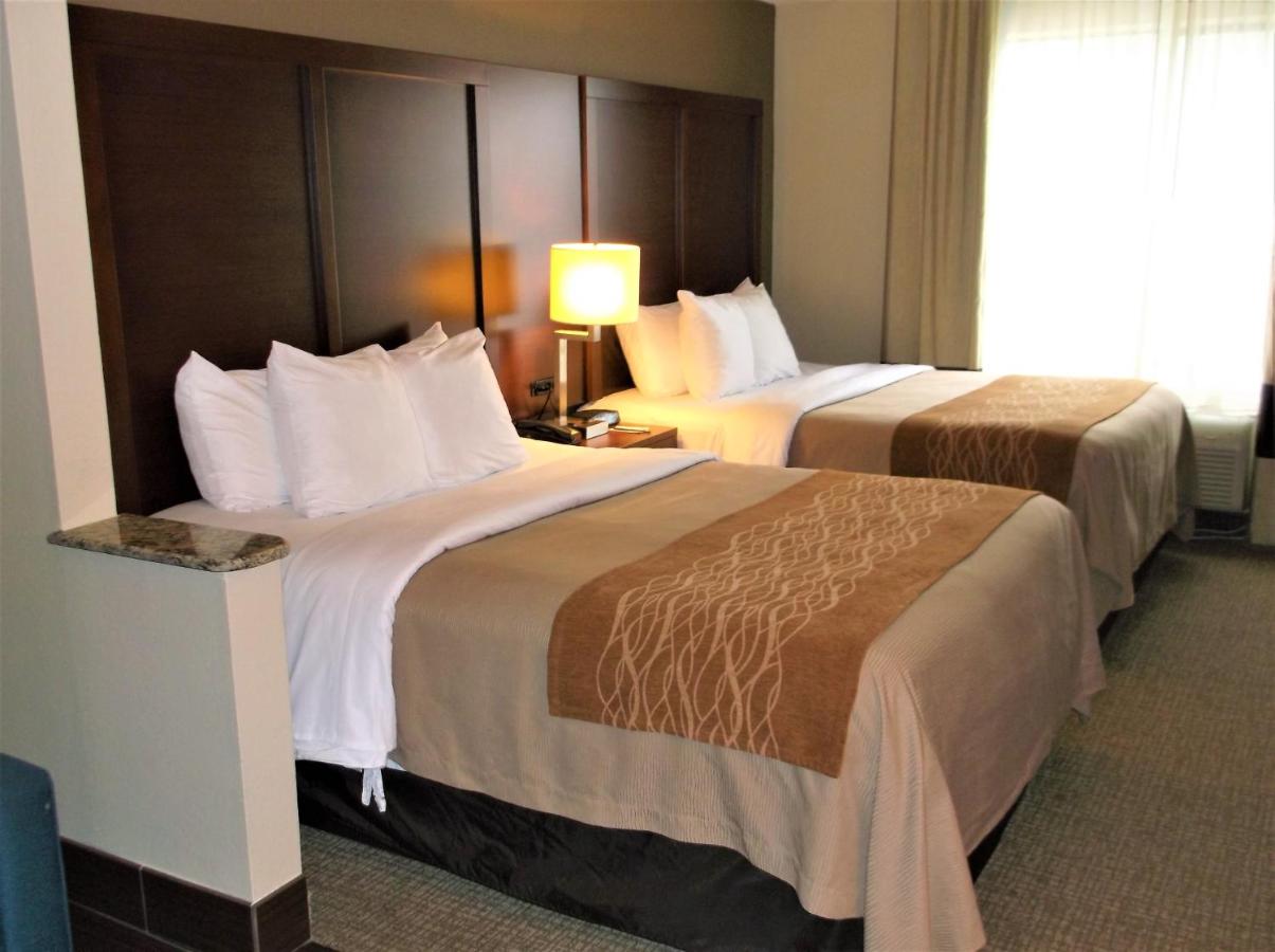 Queen Suite with Two Queen Beds - Non-Smoking at Comfort Inn & Suites Seguin