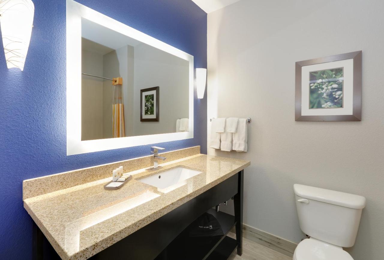Executive King Studio - Non-Smoking at La Quinta Inn & Suites by Wyndham Denton - University Drive