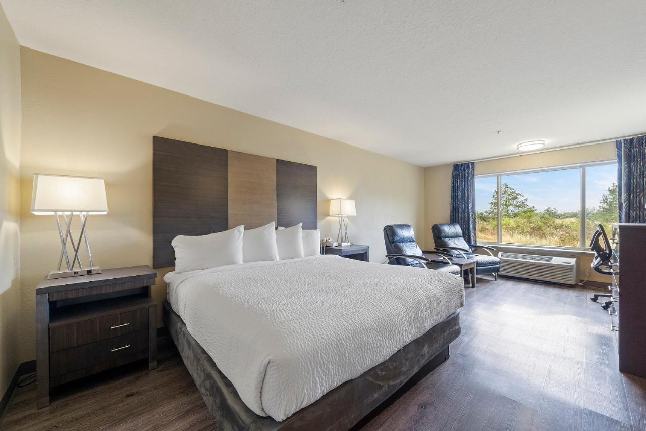Standard Single King Room - No View at Oceanview Inn At The Arch