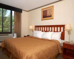 Room #5608128 at Crescent Hotel