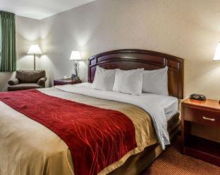 Room #48977707 at Quality Inn & Suites Fort Madison near Hwy 61