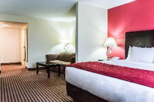 Room #27301604 at Comfort Suites Palm Bay - Melbourne