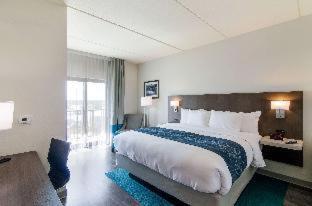 Room #495824608 at Comfort Inn & Suites Gulf Shores East Beach near Gulf State Park