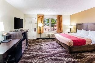Room #45910713 at Econo Lodge Glade Springs I-81