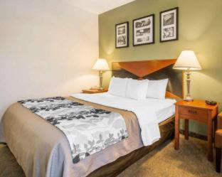 Room #48946511 at Garner Hotel Panama City Beach Northeast by IHG