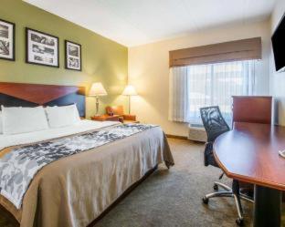 Room #48946511 at Garner Hotel Panama City Beach Northeast by IHG