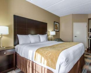Room #45889805 at Best Western Kenner