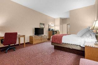 Room #49081423 at Norfolk Lodge & Suites, an Ascend Collection Hotel