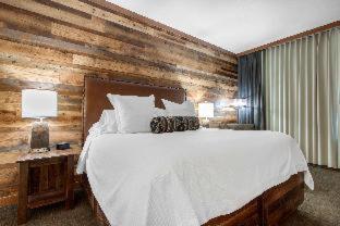 Room #49081425 at Norfolk Lodge & Suites, an Ascend Collection Hotel
