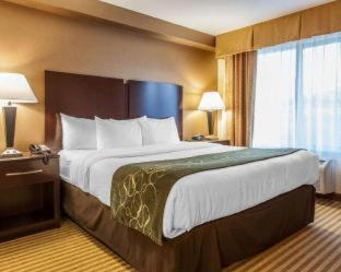 Room #29930506 at Comfort Suites Wenatchee Leavenworth