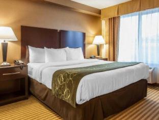 Room #29930506 at Comfort Suites Wenatchee Leavenworth
