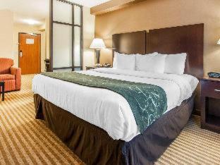 Room #29930506 at Comfort Suites Wenatchee Leavenworth