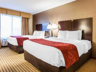 Room #29930507 at Comfort Suites Wenatchee Leavenworth
