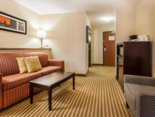 Room #29930507 at Comfort Suites Wenatchee Leavenworth