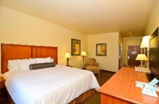 Room #106967222 at Comfort Inn & Suites Schulenburg