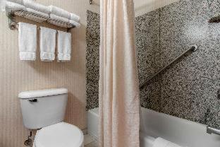 Room #49081433 at Norfolk Lodge & Suites, an Ascend Collection Hotel
