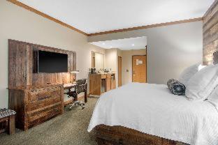 Room #49081435 at Norfolk Lodge & Suites, an Ascend Collection Hotel