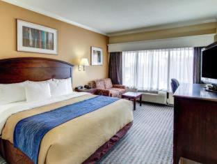 Room #49187007 at Comfort Inn Corsicana East