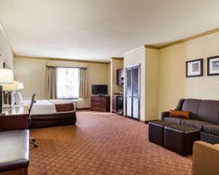 Room #29067308 at Comfort Suites near NASA - Clear Lake