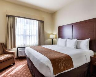 Room #29067309 at Comfort Suites near NASA - Clear Lake
