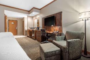 Room #49081438 at Norfolk Lodge & Suites, an Ascend Collection Hotel