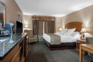 Room #49081439 at Norfolk Lodge & Suites, an Ascend Collection Hotel