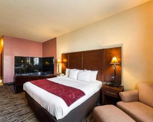 Room #49187810 at Comfort Suites McAllen Airport and La Plaza Mall