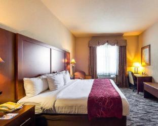 Room #49187810 at Comfort Suites McAllen Airport and La Plaza Mall