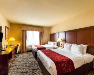 Room #49187811 at Comfort Suites McAllen Airport and La Plaza Mall